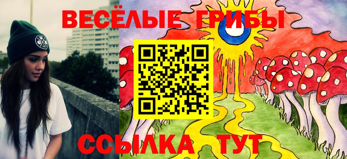 Галлюциногенные грибы мухоморы Кондопога