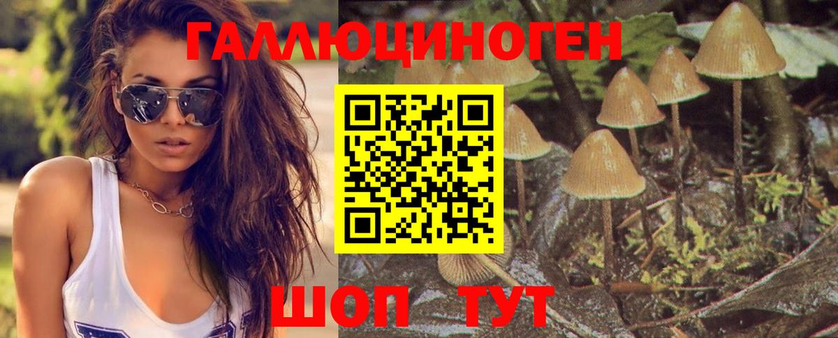 Кондопога  Псилоцибиновые грибы мухоморы  Вход с VPN 