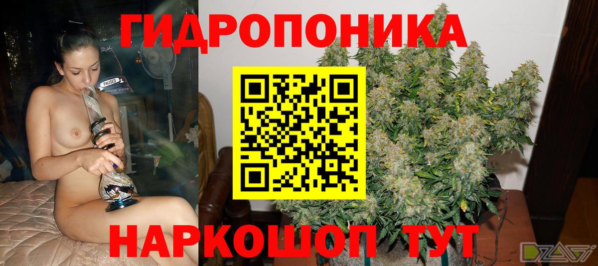 Канабис Amnesia Кондопога